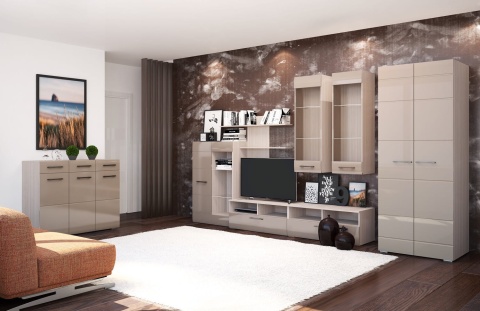 Гостиная Нэнси-5 МДФ/Разные Цвета