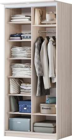 Шкаф-Купе Альянс (Ш-1000/1500/2000 х Г-600 х В-2200 мм)/Разные Цвета